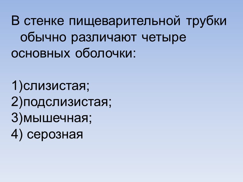 В стенке пищеварительной трубки обычно различают четыре основных оболочки:   слизистая;  подслизистая;